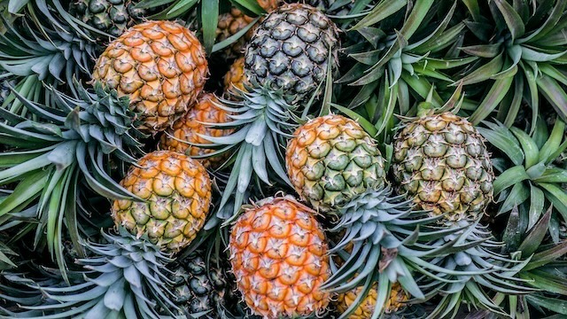 ananas-victoria