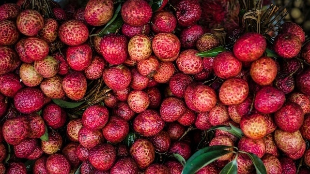 letchi-réunion