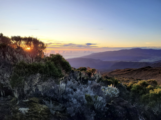 Ezkapade-la-réunion