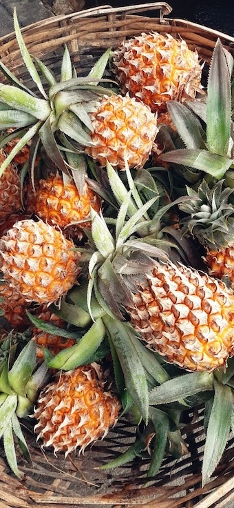 ananas-victoria